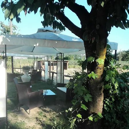 Bed & Breakfast Oasi La Fiorente
