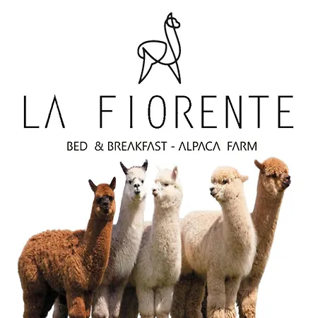 Oasi La Fiorente Bed & Breakfast *